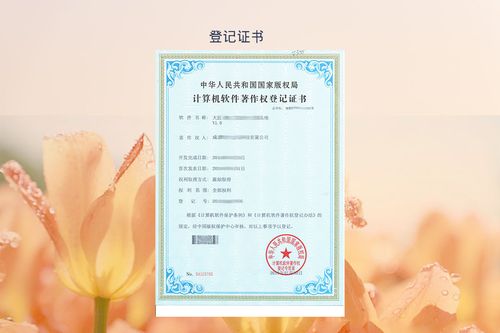 軟著證書上哪個是授權號