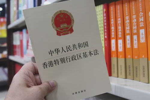 軟著權重復填了兩個(軟著權查詢)