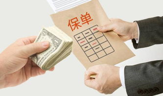 軟著過(guò)戶多少錢(軟著代辦一般需要多少錢)