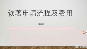 軟著申請開發(fā)時間限制(軟著多久能申請下來)