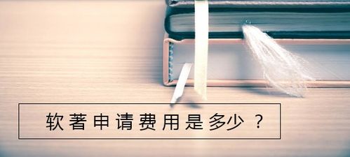 軟著申請(qǐng)中介費(fèi)用(個(gè)人軟著怎么申請(qǐng))