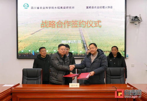 吳悅專利四川農(nóng)業(yè)大學,四川農(nóng)業(yè)大學吳雨珊