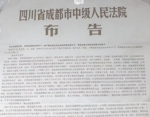 軟著最多放幾個(gè)人名字(軟著申請個(gè)人還是單位好)