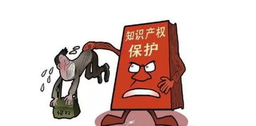 專(zhuān)利侵權(quán)執(zhí)法依據(jù)-專(zhuān)利侵權(quán)執(zhí)法依據(jù)是什么